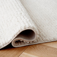 Load image into Gallery viewer, Sethmond Medium Rug
